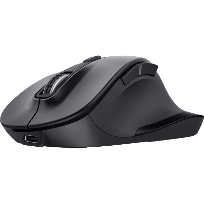 Trust Fyda souris Bureau Droitier RF sans fil + Bluetooth Optique 2400 DPI