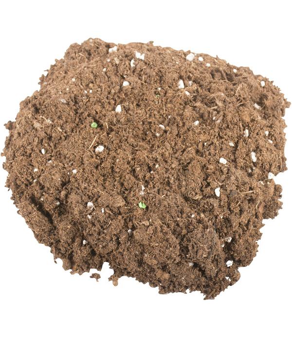 COMPO Sana® Qualitäts-Blumenerde 50% weniger