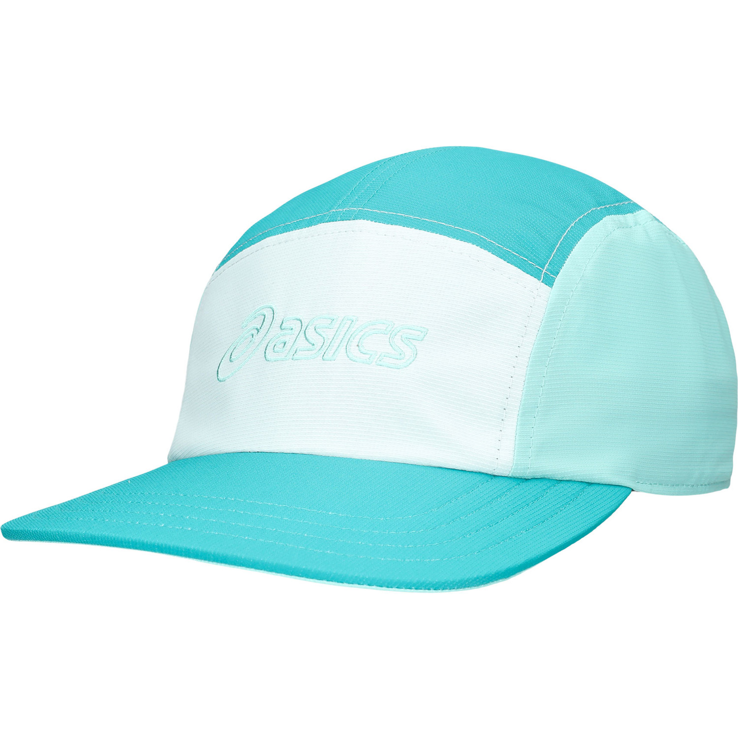 ASICS 5 Panel Pet
