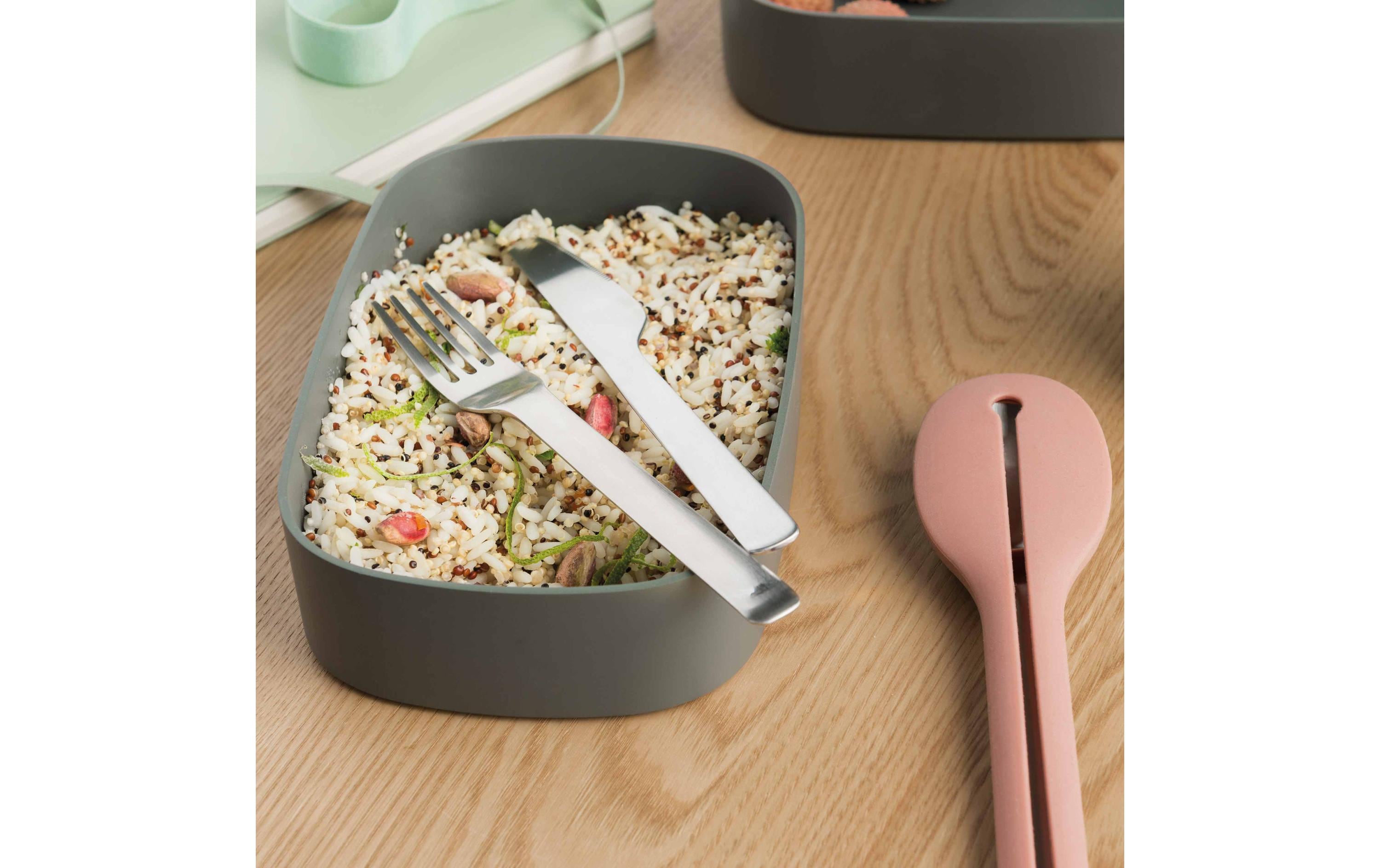 Lunchbox Bento Leo GrauDoppelte Bento-Box