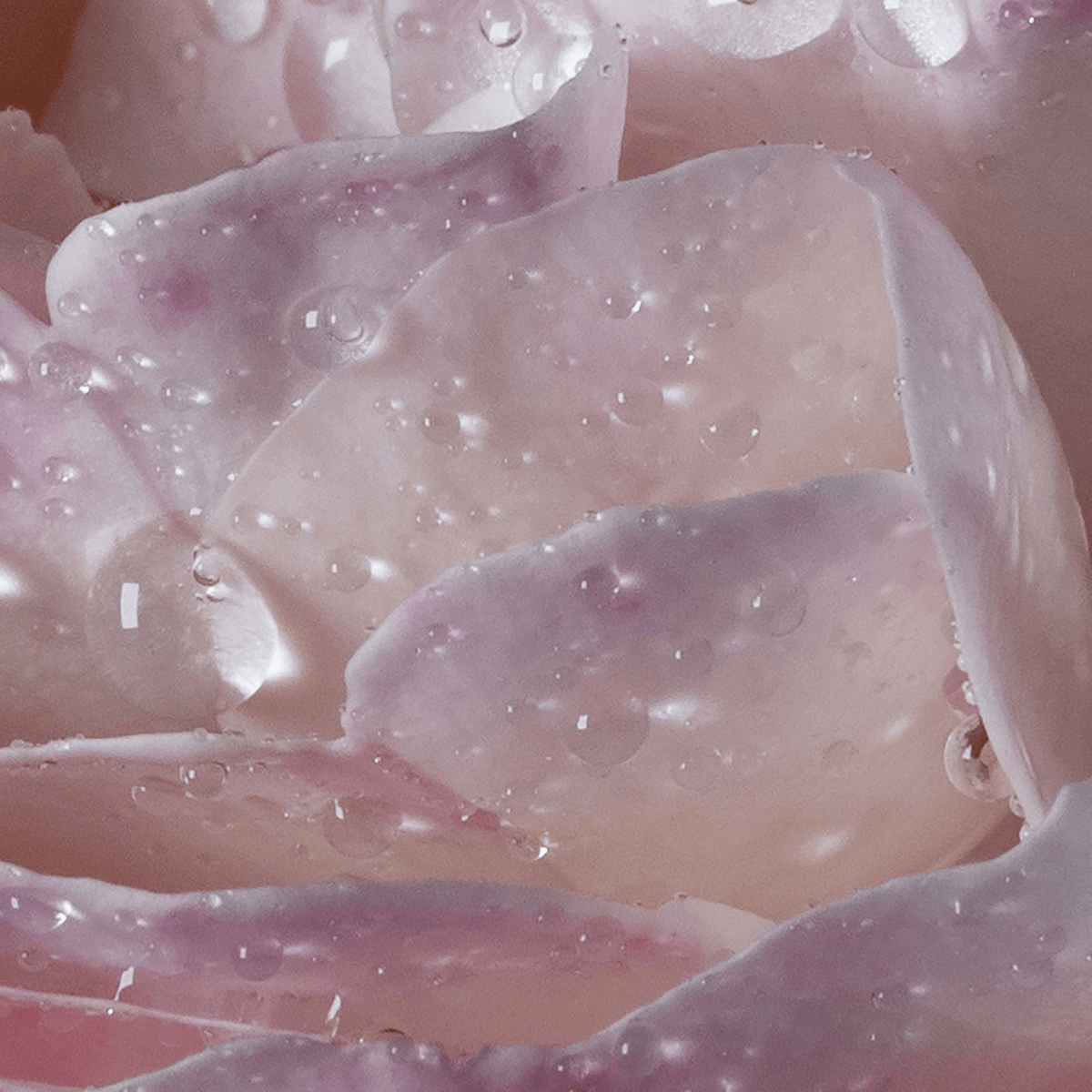 L'eau À la rose Eau de Toilette 70ml