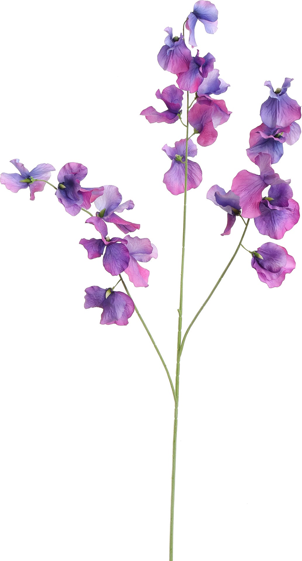 Jasaco PURE kunstbloem Lathyrus paars 115 cm