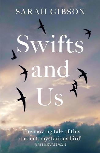 Swifts and Us: The Life of the Bird That Sleeps in the Sky (Paperback)