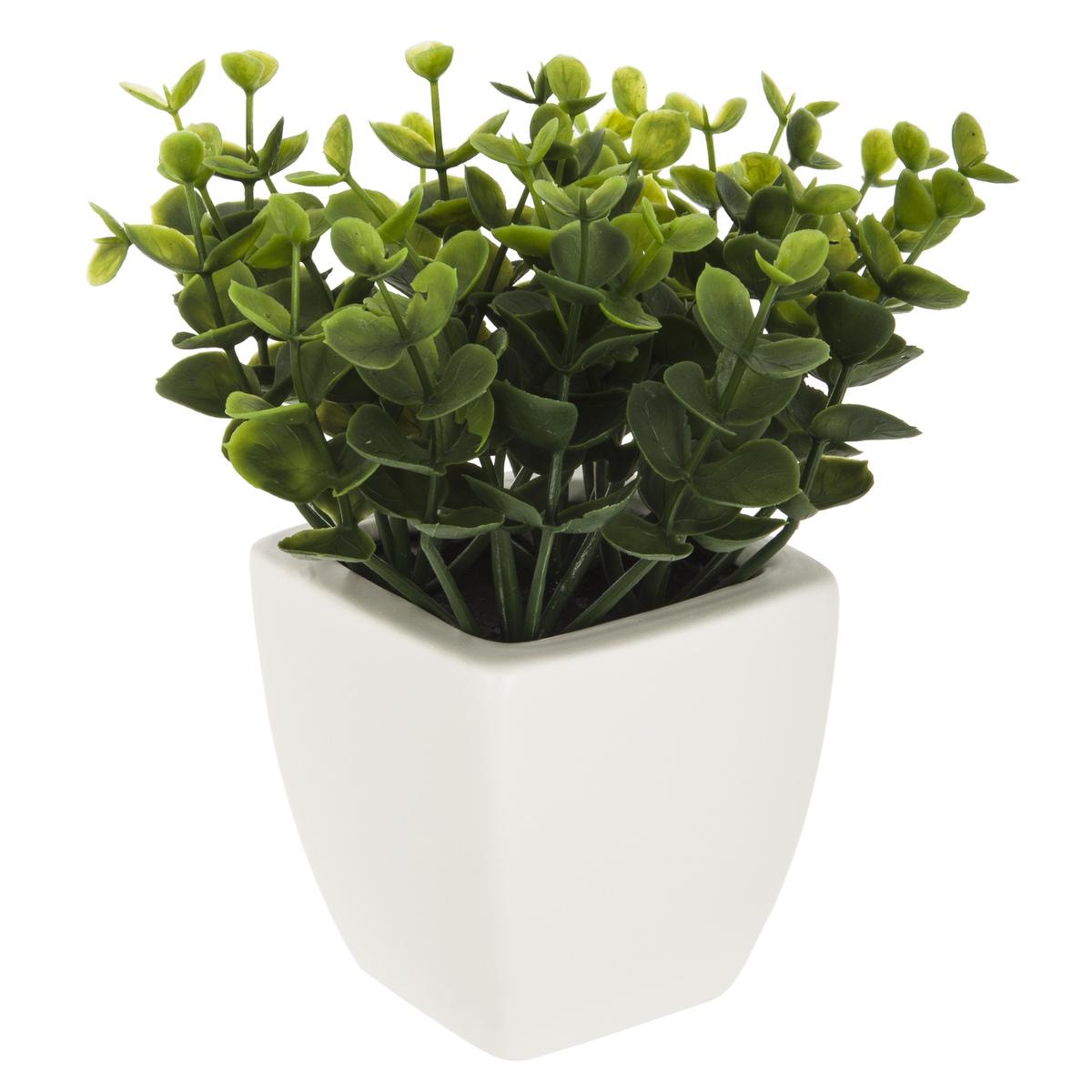 HERBE POT CERAMIQUE OKO BLANC H.15CM