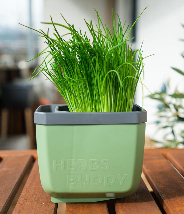 Gusta Garden Kräutertopf Herbs Buddy, ca.