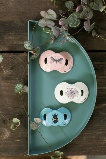 Sucette   Tiny Beetle        Naissance   de               Elodie Details