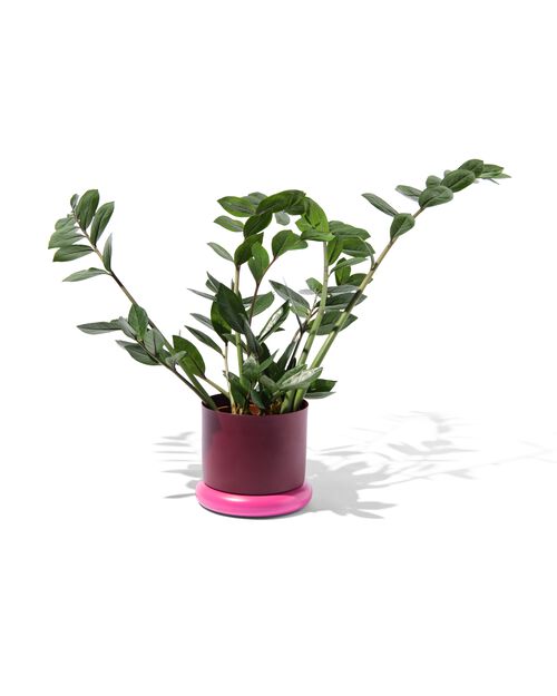 pot de fleurs Ø 15,5 cm donut métal