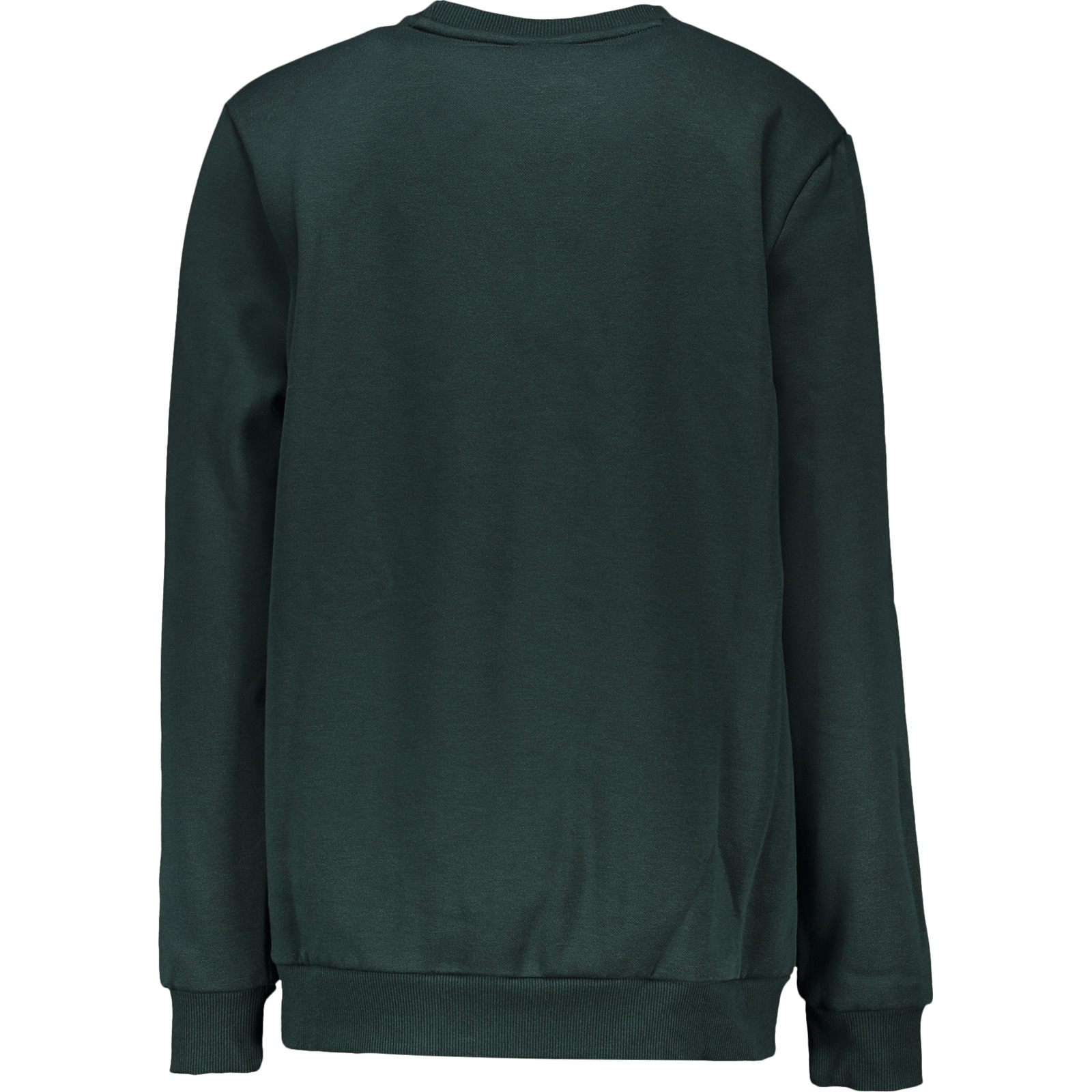 Puma Herren-Sweatshirt Graphic Crew XL, dunkelgrün