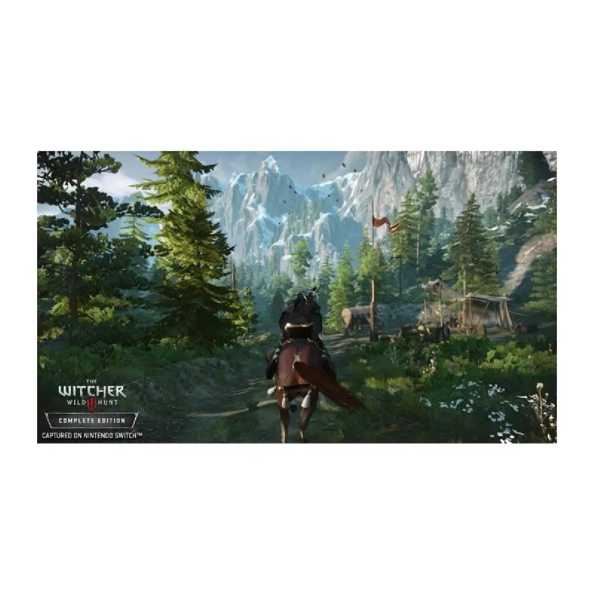 BANDAI NAMCO ENTERTAINMENT CDProjekt The Witcher 3 Wild Hunt - Switch
