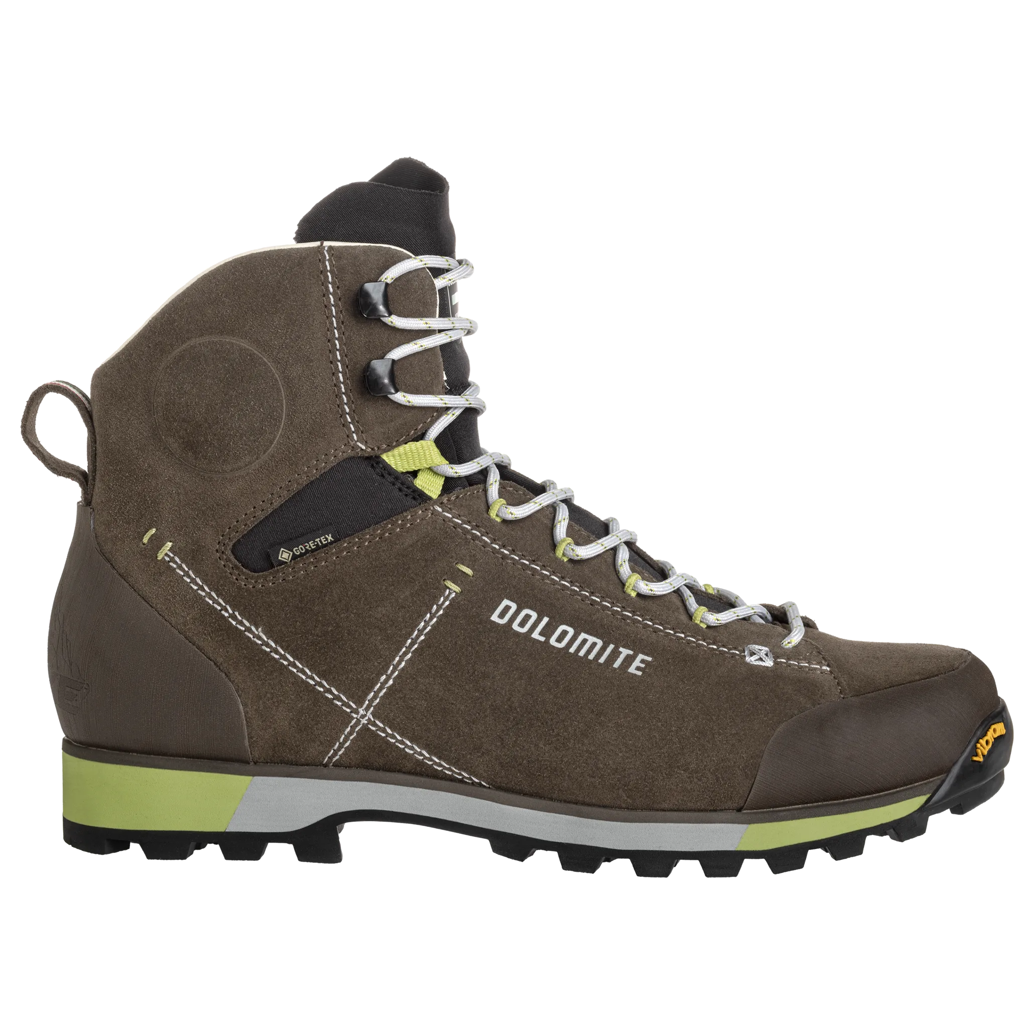 Dolomite Men's 54 Hike Evo GORE-TEX Mud Green/green