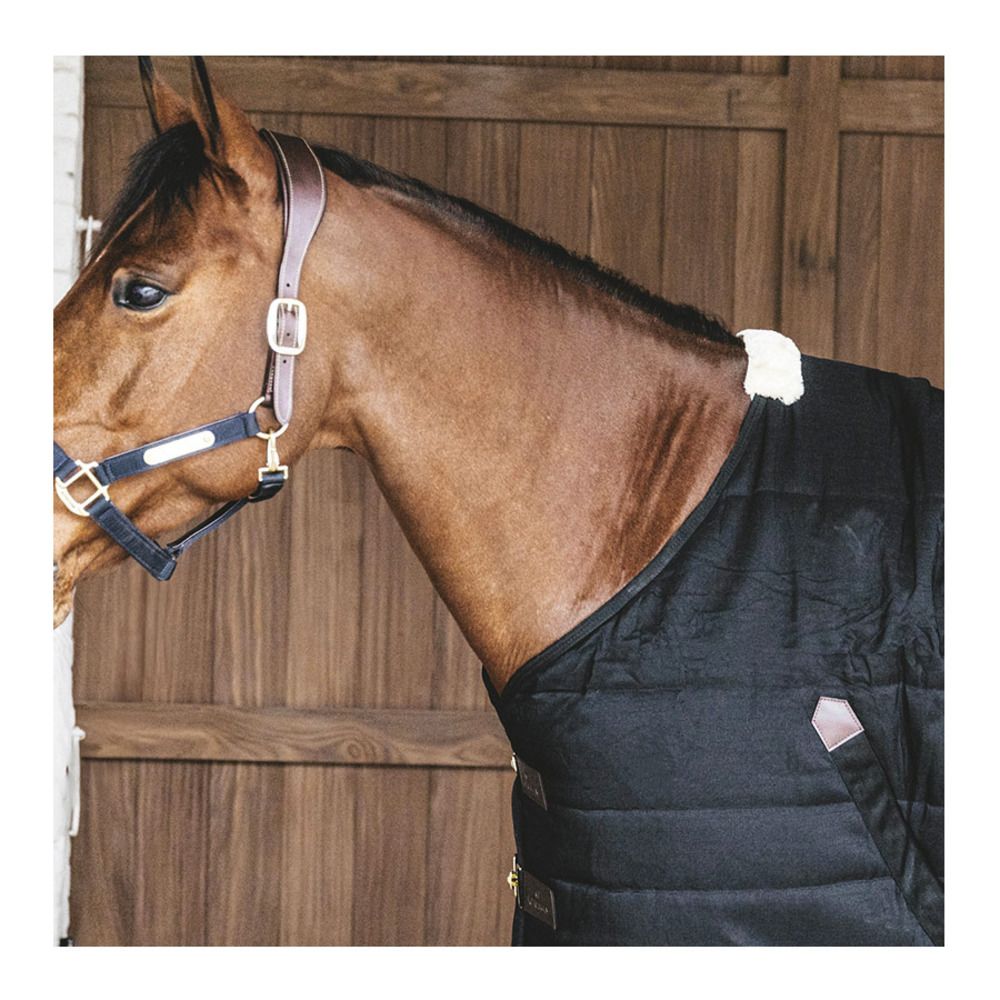 Kentucky CLASSIC 900D 200G - Couverture de box black