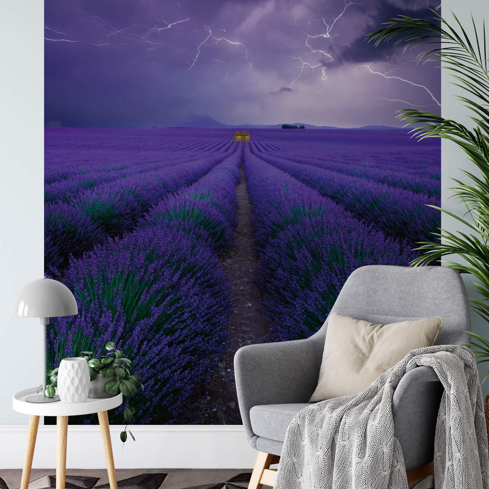 Fototapete DESIGNWALLS 2.0 - lila-grün - Lavendel - 2,6 Meter