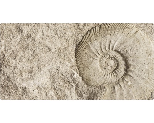 Badkamer achterwand mySPOTTI aqua Fossil 90x45 cm