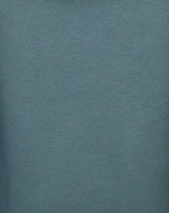 Kapuzen-Sweatshirt FAB LAB in ashblue