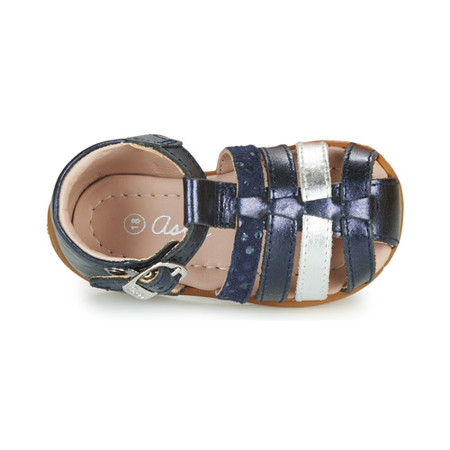 Aster - OFILIE - Marine