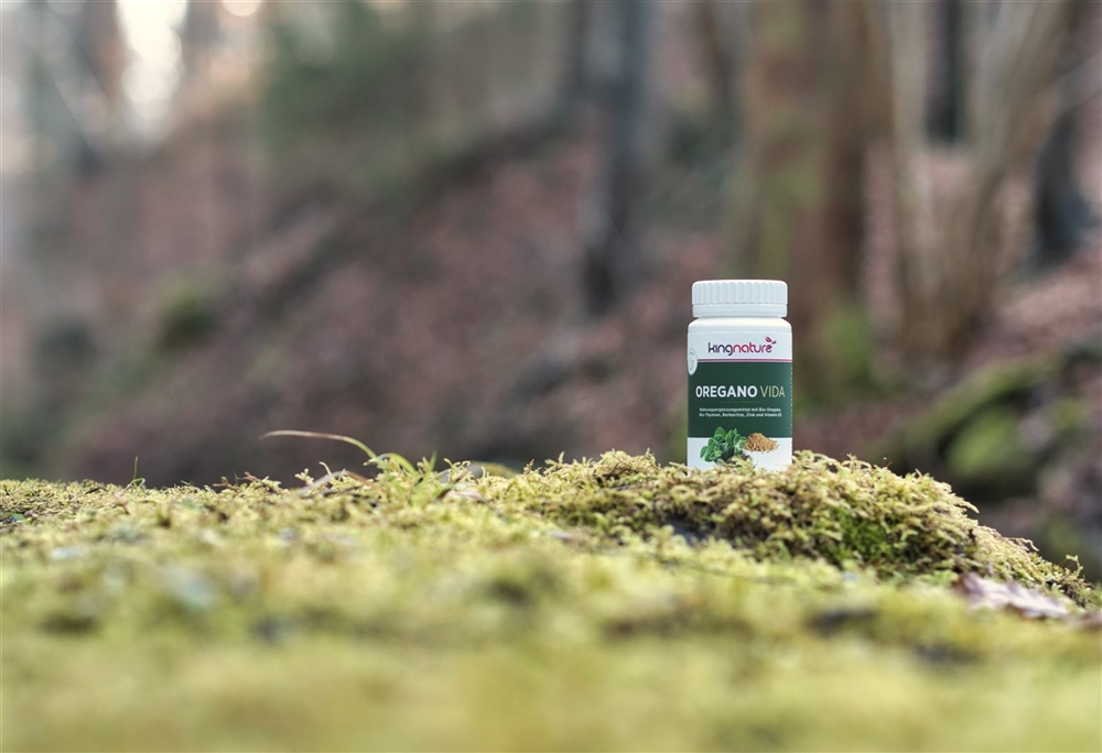 KINGNATURE Oregano Vida 614 mg<br>60 Stück, Dose, Kapsel