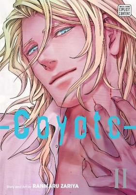 Coyote, Vol. 2 - Coyote 2 (Paperback)