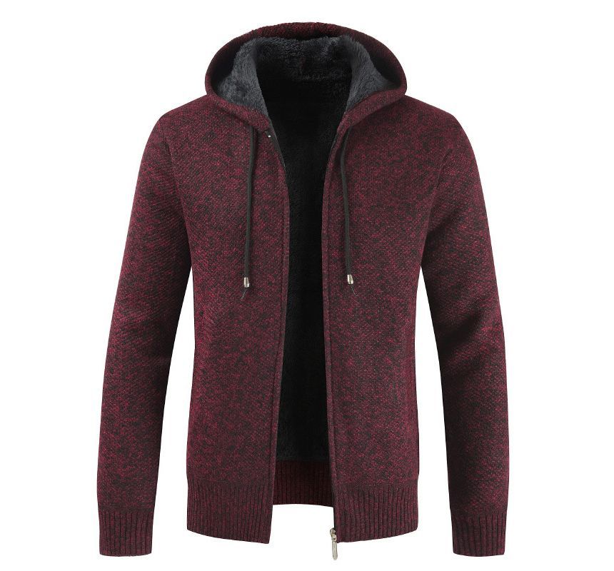FORSETI - Gebreid jack met capuchon en rits