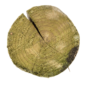 Tuinpaal rond kastanje hout 12 x 200 cm