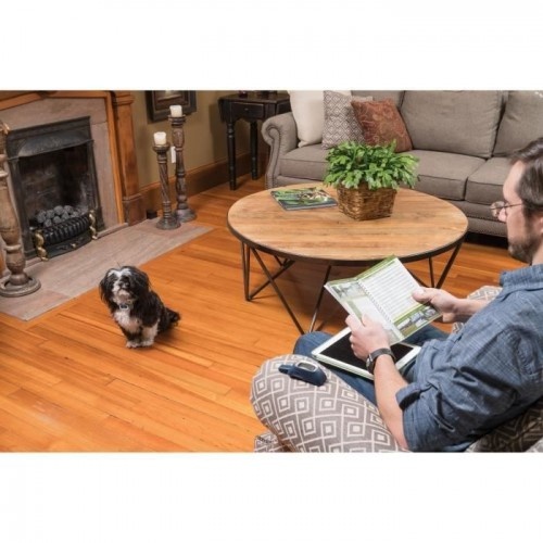 Sistema de treinamento Petsafe: suporte educacional para cães.