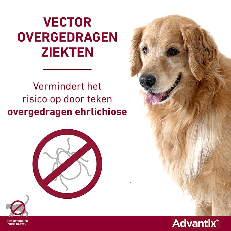 Advantix vlooienmiddel hond