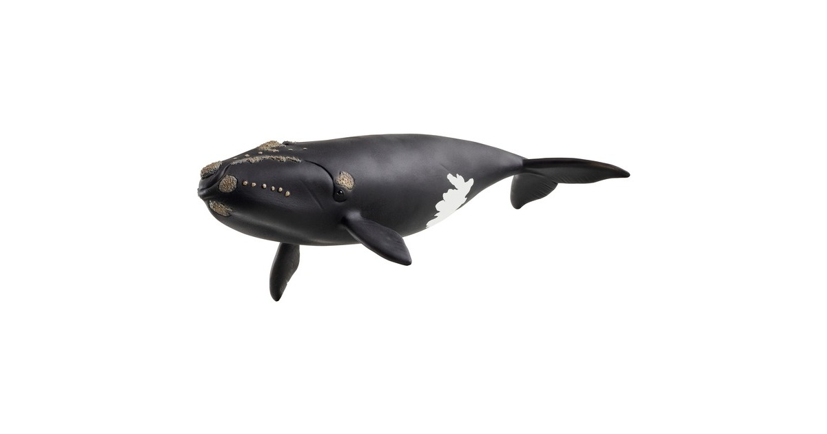 SchleichWild Life - Noordkaper speelfiguur  (14878)