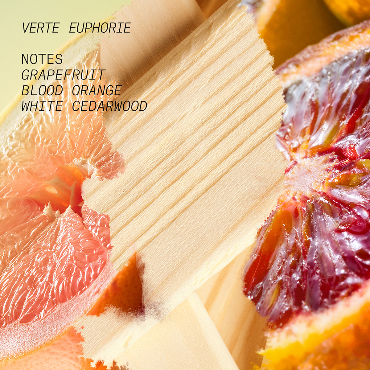 Verte Euphorie Eau de Parfum 100ml