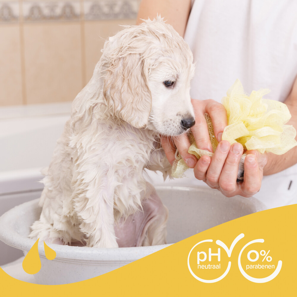 Beaphar Shampoo Hond Puppy250 ml