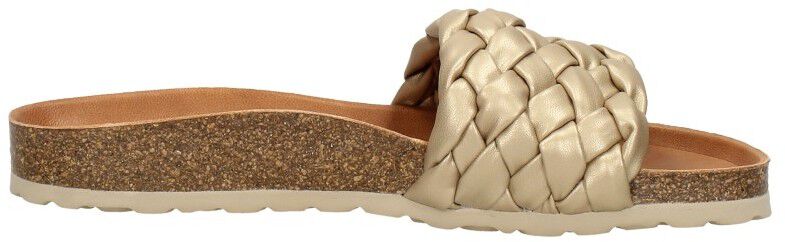 Verbenas Rica goudkleur
