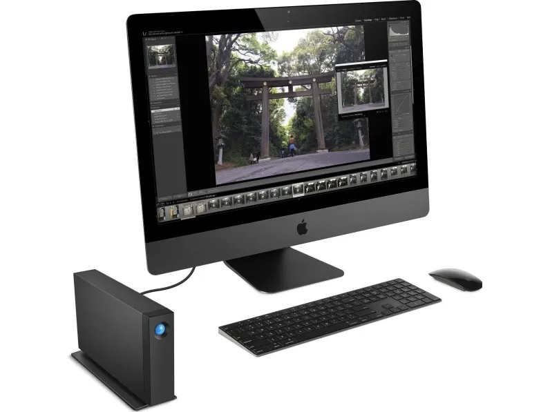 LaCie d2 Professional STHA10000800 - Harddisk - 10 TB - ekstern (stationær) - USB 3.1 (USB-C stikforbindelse) - med Seagate Rescue Data Recovery