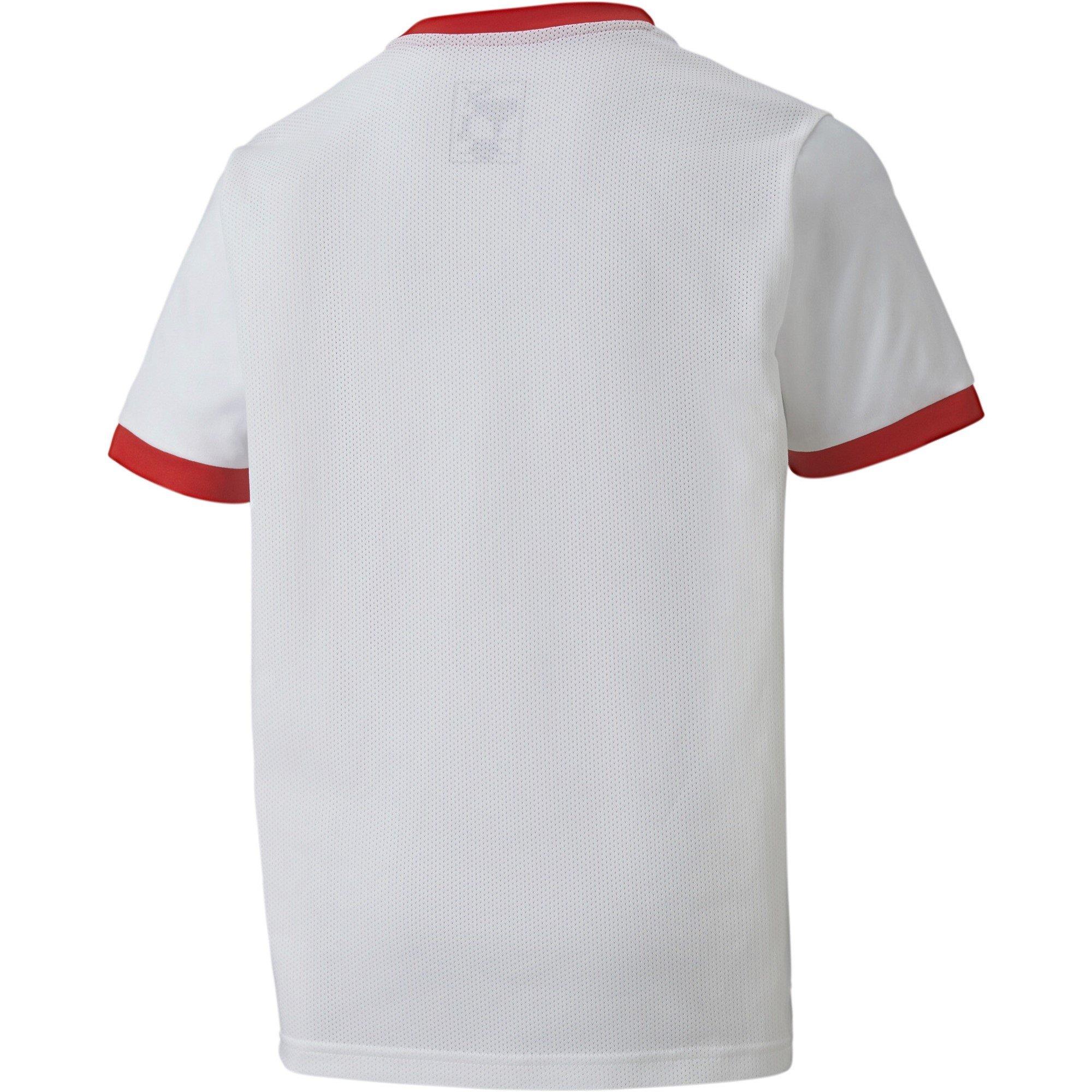 Puma teamGOAL 23 Jersey jr