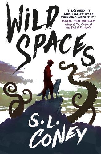 Wild Spaces (Hardback)
