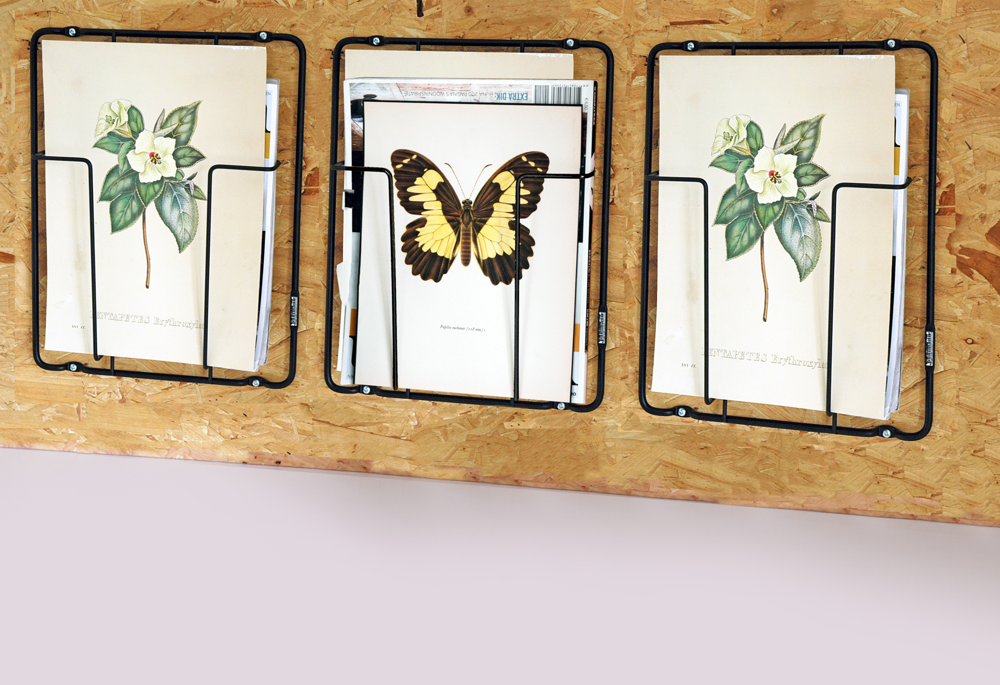 Puhlmann Frame 1