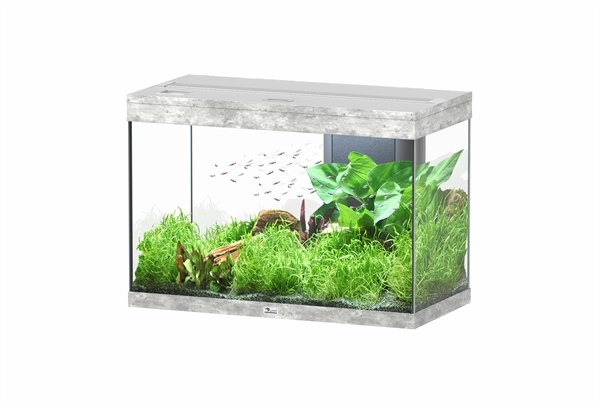 Aquatlantis Splendid 80 aquarium | Inclusief LED en filter