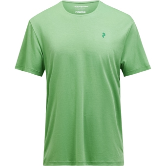 Peak Performance Delta Polartec® T-Shirt Peppermint Herren