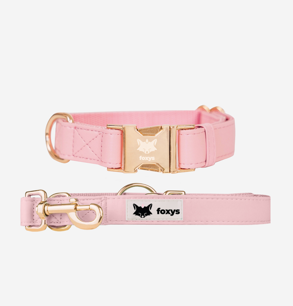 Kit de coleira e guia CityFox™ | Rosa