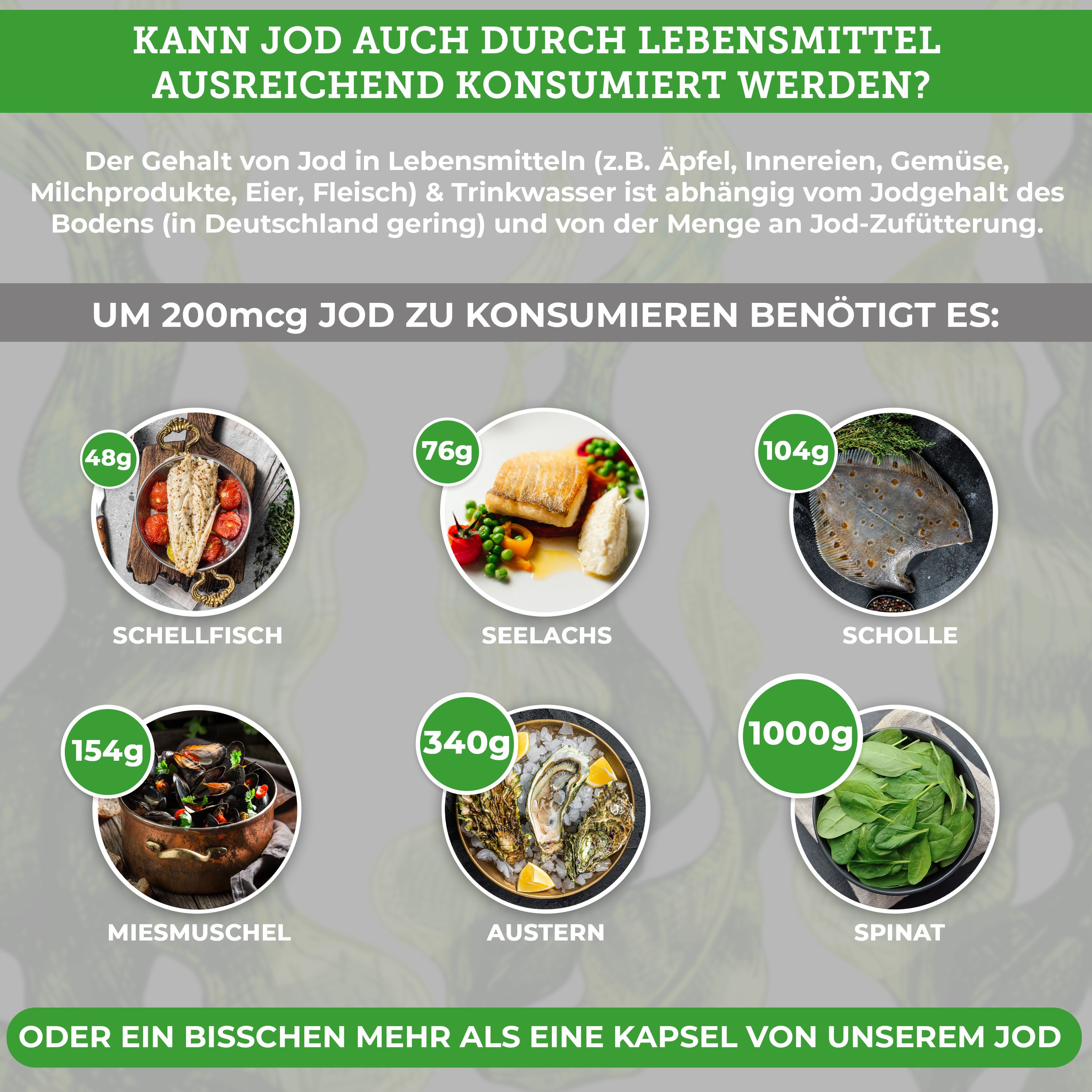 QIDOSHA Bio Jod aus der Kelpalge