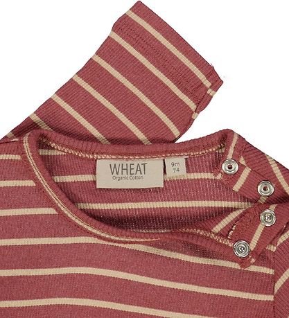Wheat - Rib - Apple Butter Stripe
