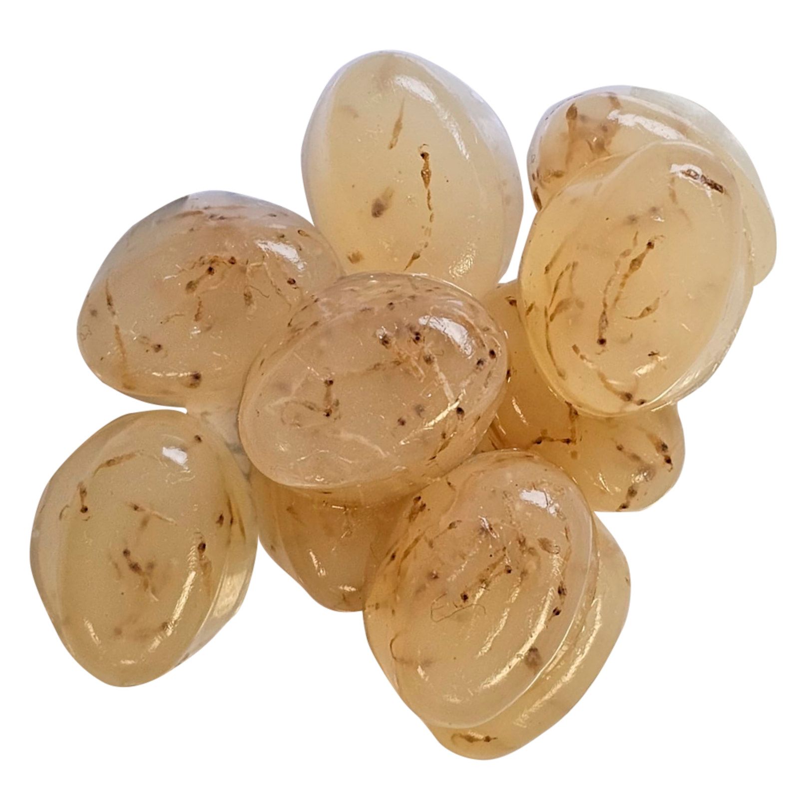 Dupla Zierfischfutter Gel-o-Drops White Mosquito