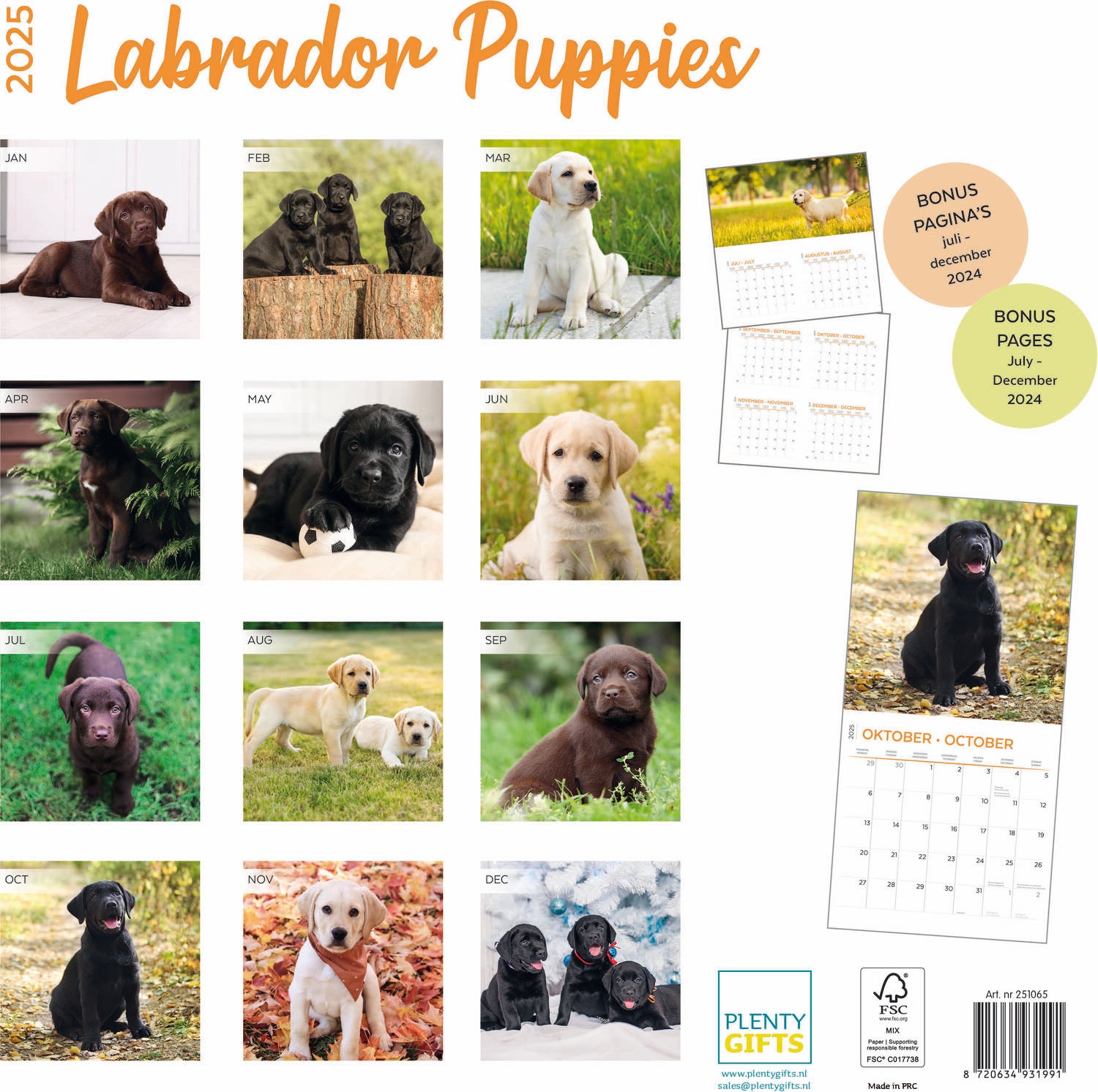 Plenty Gifts kalender labrador puppies 30 x 30 x 0,5 cm