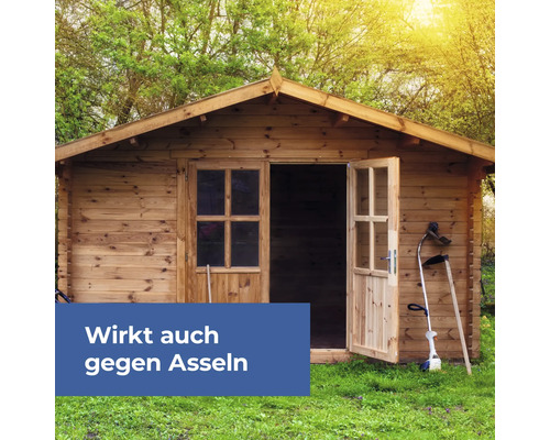 Speciale pompspray Protect Home Blattanex 1 L