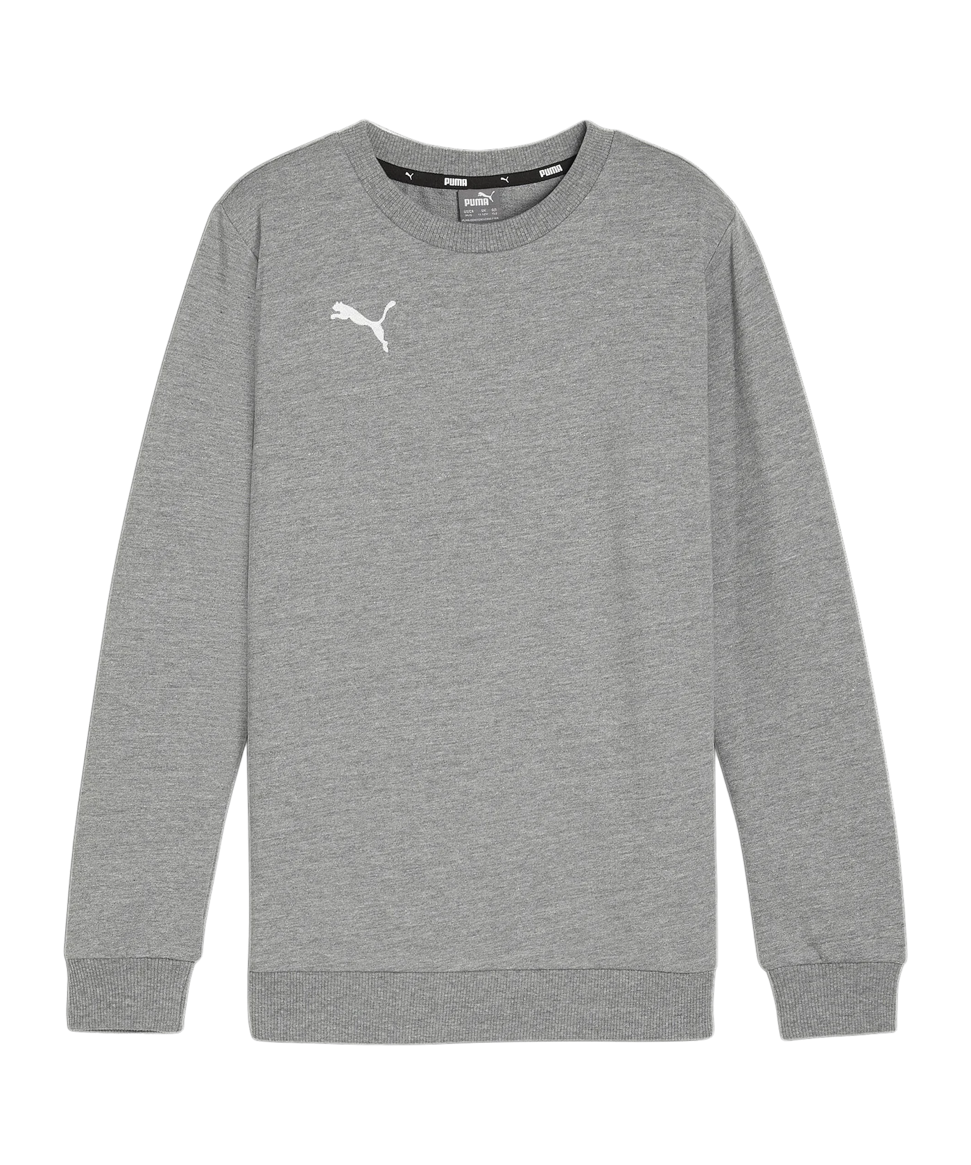 PUMA teamGOAL Casuals Sweatshirt Kids Grau F33