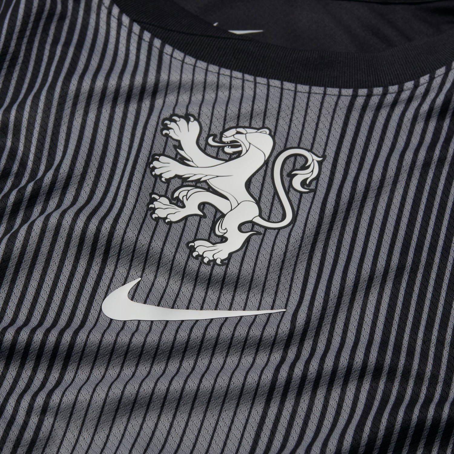 Nike Nederland Thuis Keepersshirt Leeuwinnen Dames