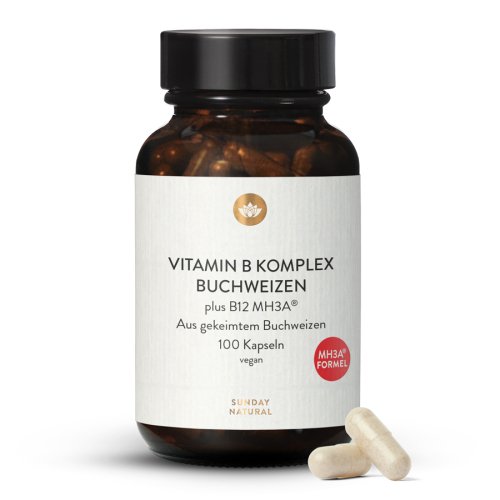 Sunday Natural Products  B-Komplex Plus B12MH3A ®