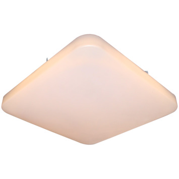 GAMMA plafondlamp Savannah Led 12W warm wit