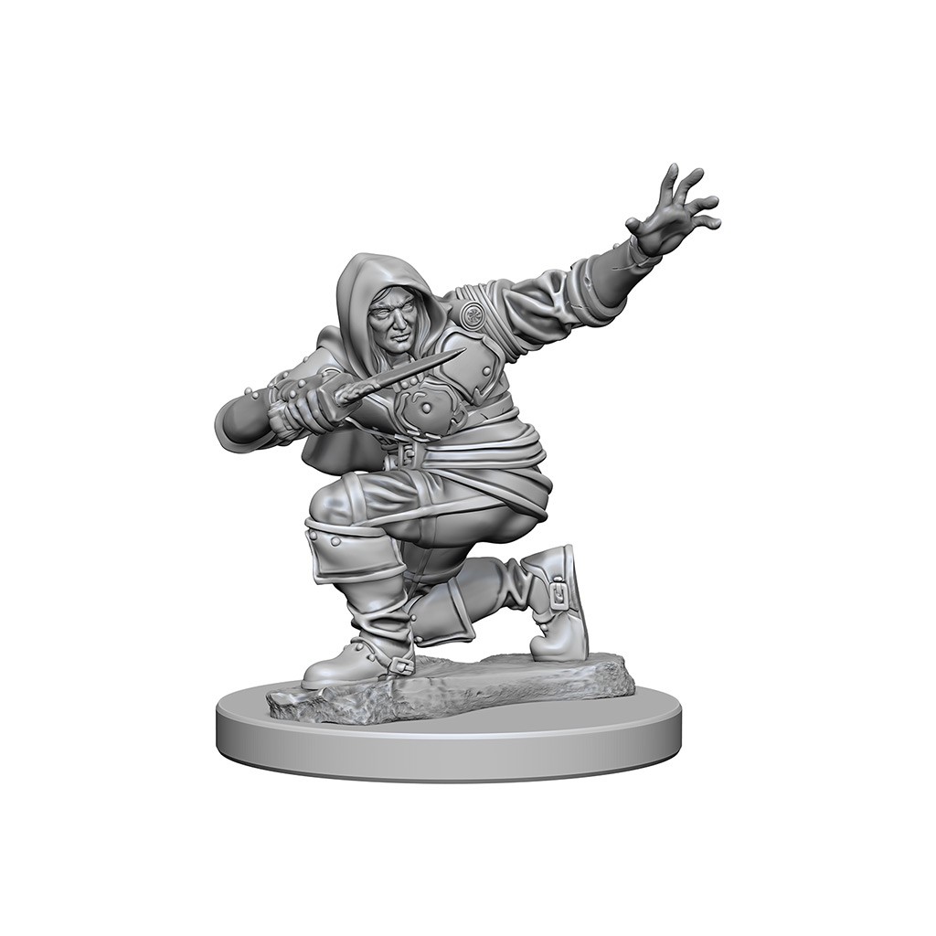Pathfinder Deepcuts Unpainted Miniatures: Human Male Rogue