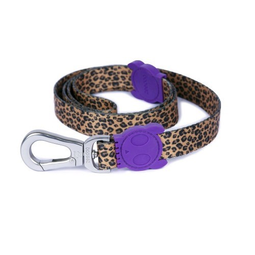 Coleira para cães cor de mel