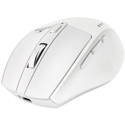 Bluestork R2 (Blanc)