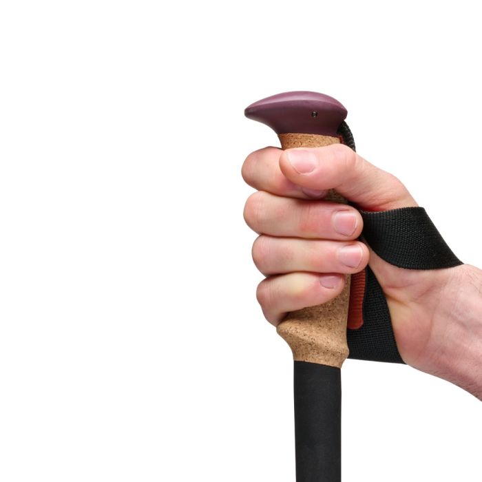 Black Diamond Unisex Stave Trail Cork Trekking Poles