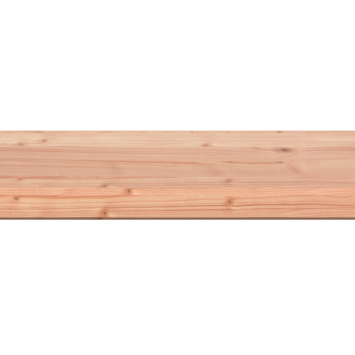 Afdekprofielplank Douglas ca. 2,8 x 14,5 cm, lengte ca. 180 cm